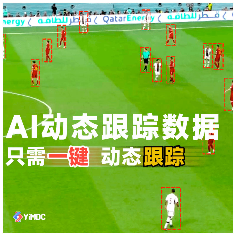 全员动态跟踪